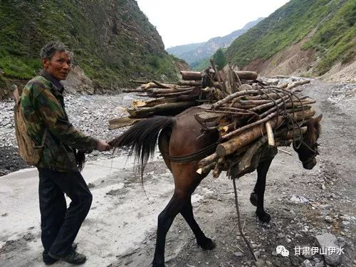 陇南洪灾，救在陇南