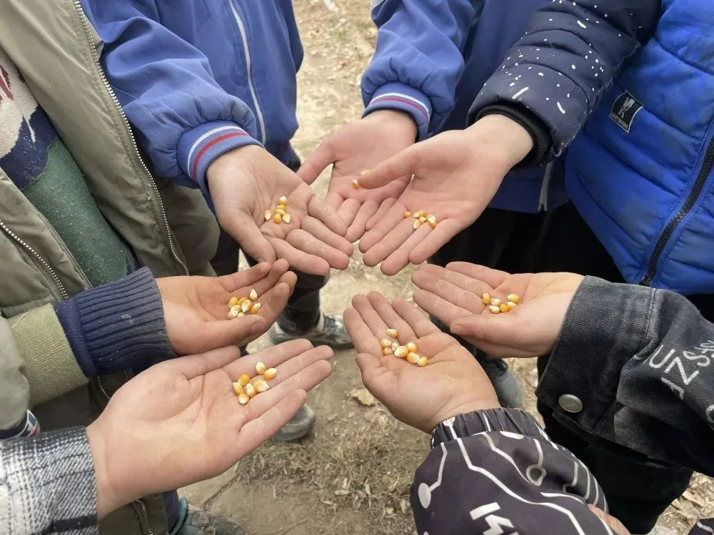 儿童服务站 | 花开春风暖童心，站点活动真多彩