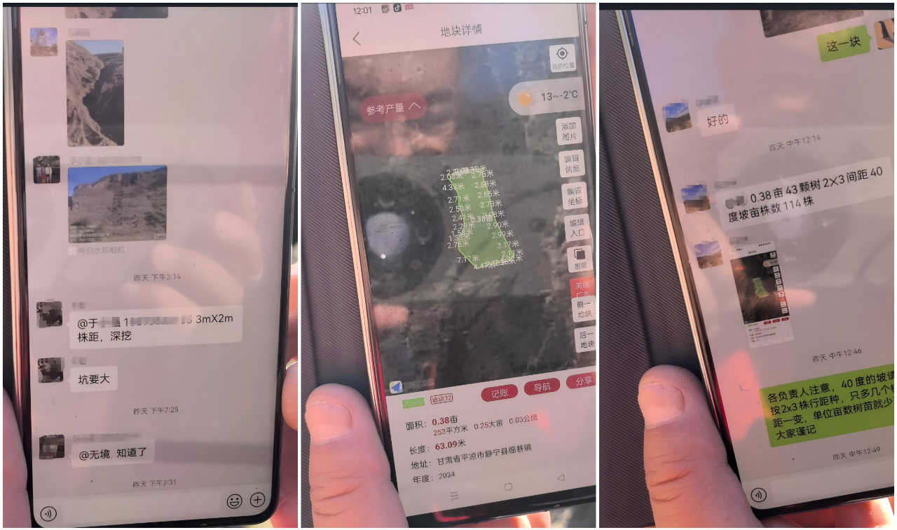 待到山花烂漫时，她在丛中笑