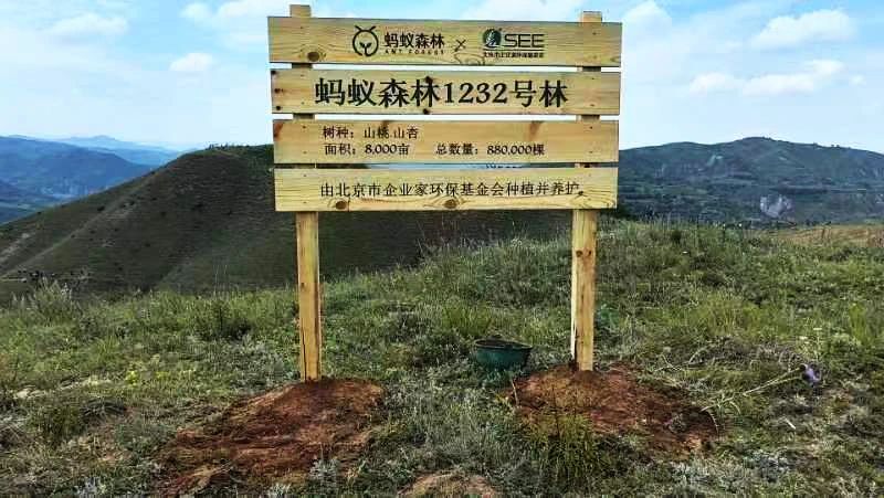 生态恢复 | 从多种一棵树开始，“蚂蚁森林”在平凉种下293万株苗木