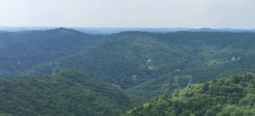 以科研助力绿色转型——子午岭生态保护与区域经济协同发展研究项目顺利收官