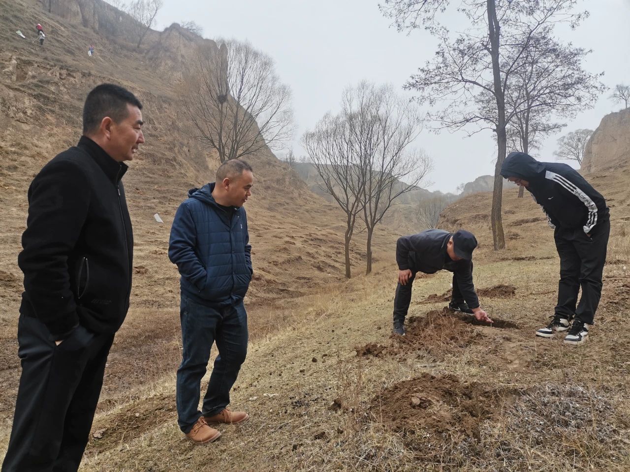 微信图片_20250122100341.jpg