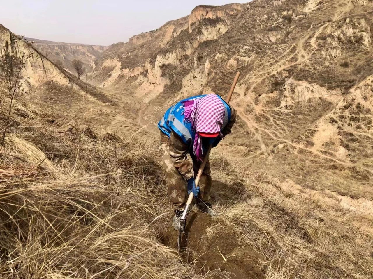 微信图片_20250122100353.jpg